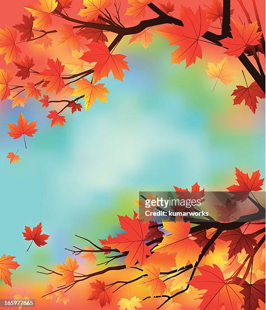 falling leaves - autumnal forest trees japan stock illustrations