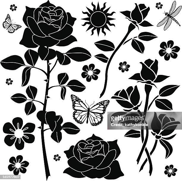 ilustraciones, imágenes clip art, dibujos animados e iconos de stock de elementos de diseño de jardín de rosas - black rose