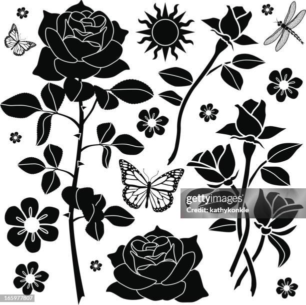 rose garden design elements - rose stencil stock illustrations