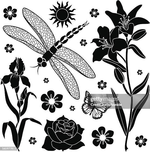 summer garden design elements - black rose stock illustrations