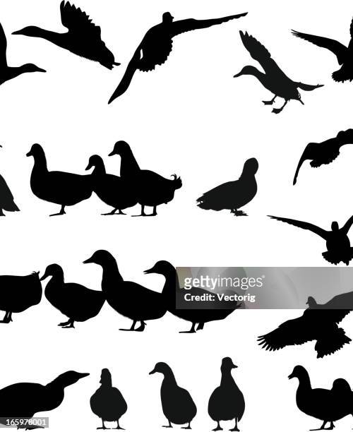 goose silhouette - duck stock illustrations