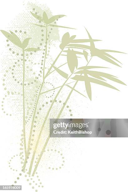 bamboo design element - bamboo leaf stock illustrations