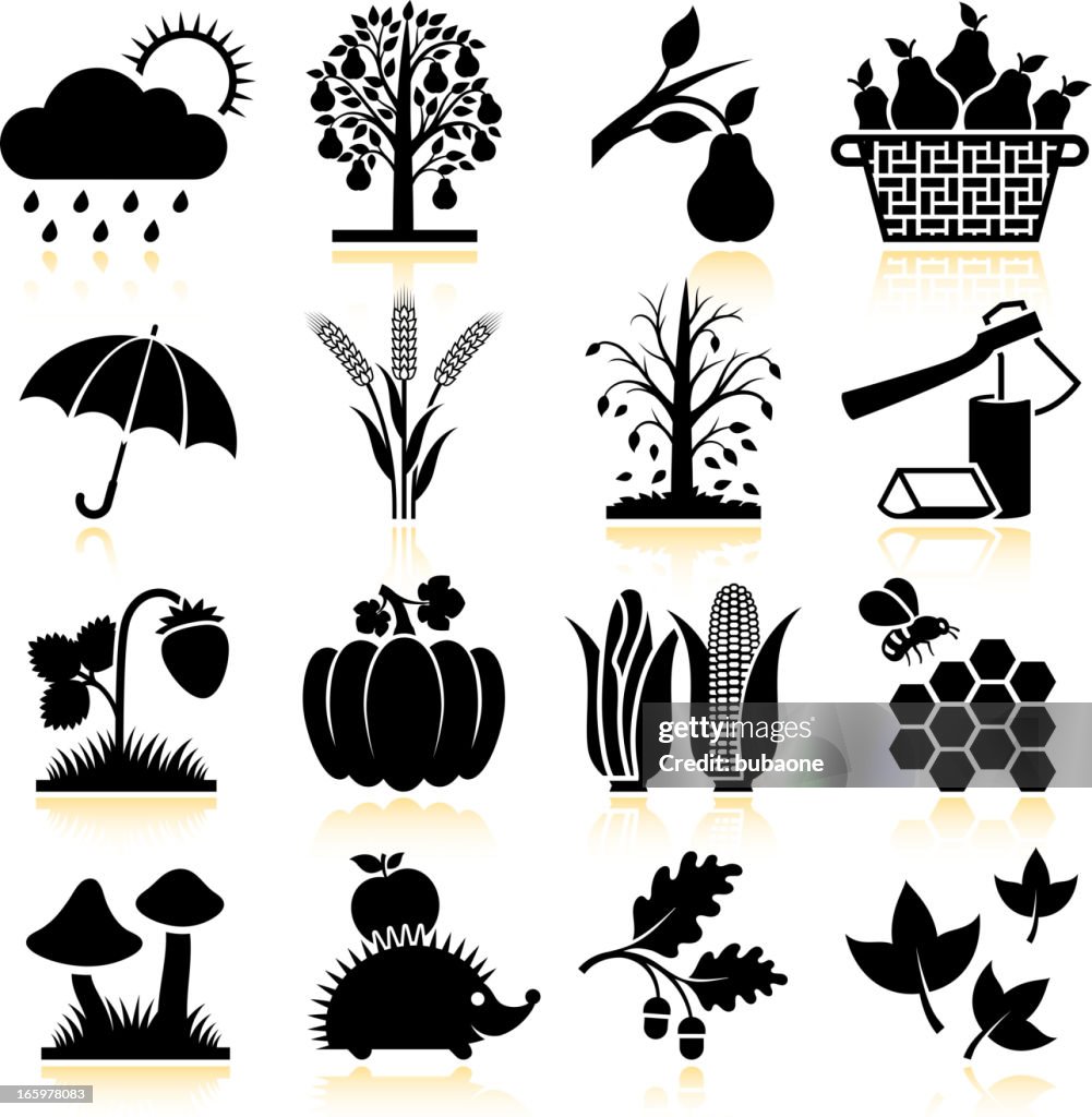 Fall (Autumn) Season black & white vector icon set
