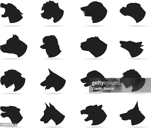 illustrations, cliparts, dessins animés et icônes de les chiens - chien de race