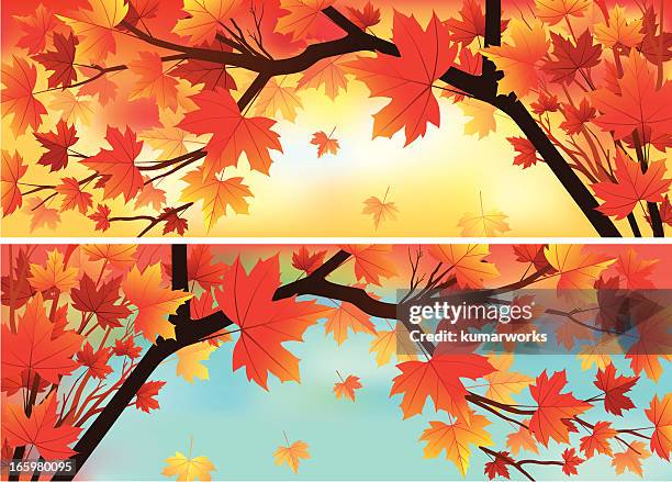 autumn banner - autumnal forest trees japan stock illustrations