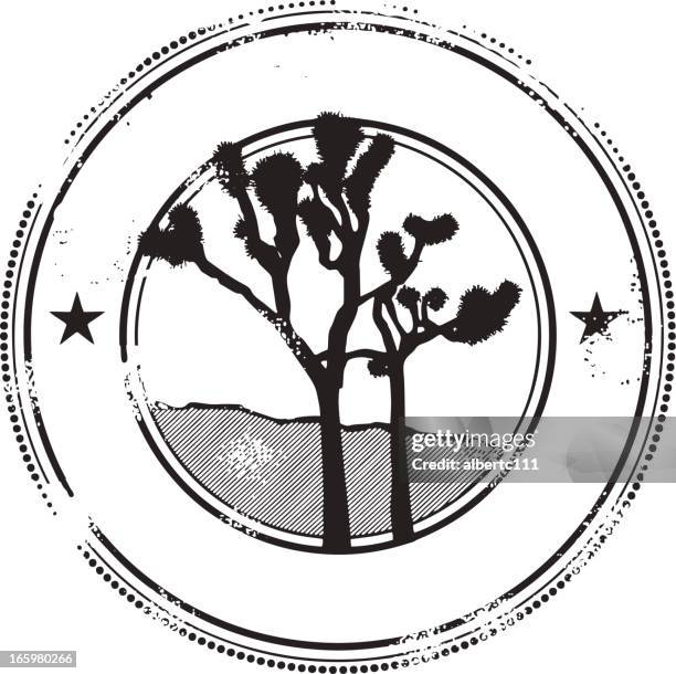 splendid joshua tree stamp - joshua tree california stock illustrations