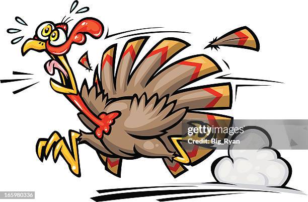 verängstigt thanksgiving-truthahn - terrified stock-grafiken, -clipart, -cartoons und -symbole