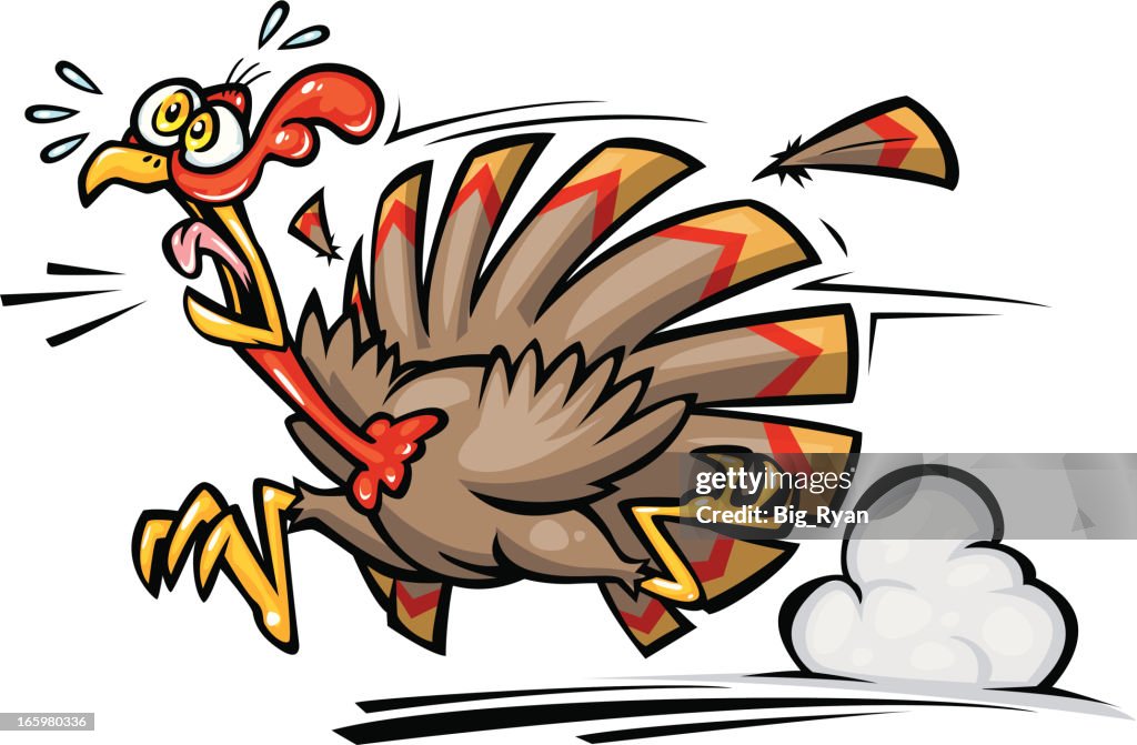 Terrified thanksgiving turkey