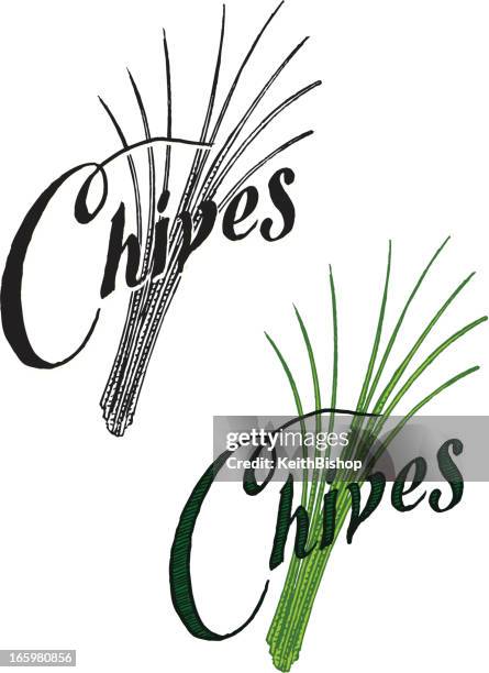 ilustraciones, imágenes clip art, dibujos animados e iconos de stock de chives con texto - the chive
