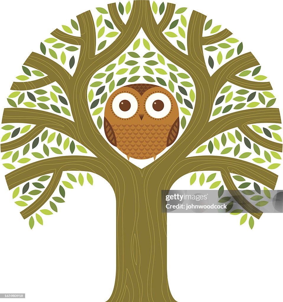 Owl Tree High-Res Vector Graphic - Getty Images