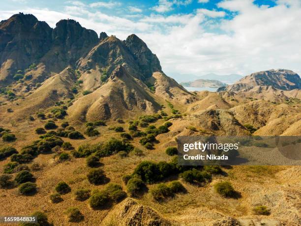 mountain hills of komodo island, indonesia - nusa tengara oriental imagens e fotografias de stock