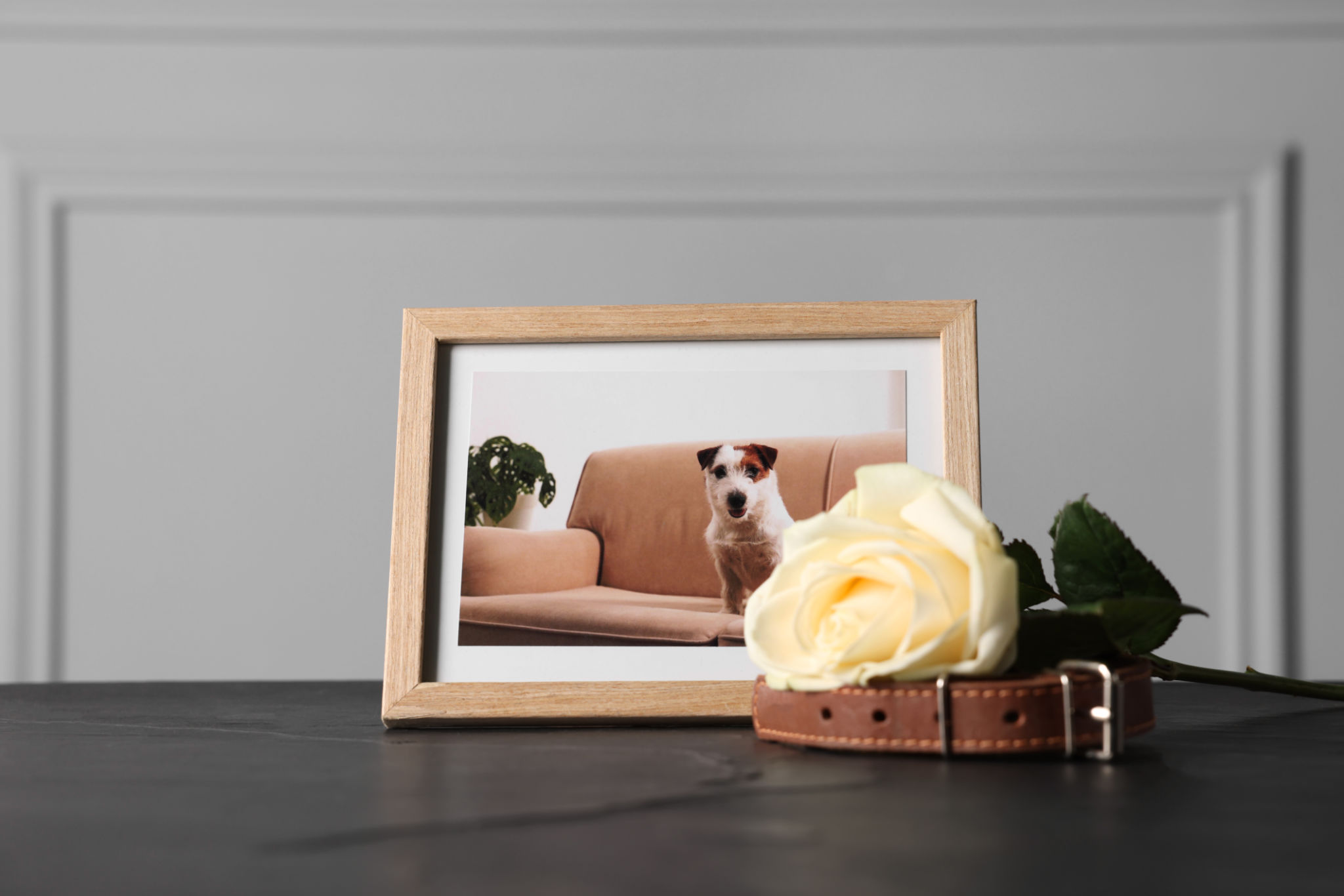pet portrait decor