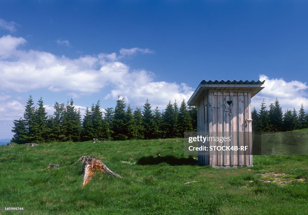 Outhouse on meadow