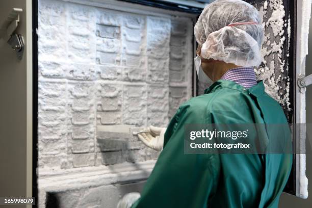 researcher looks for samples in a thermo scientific freezer - cryogenics stockfoto's en -beelden