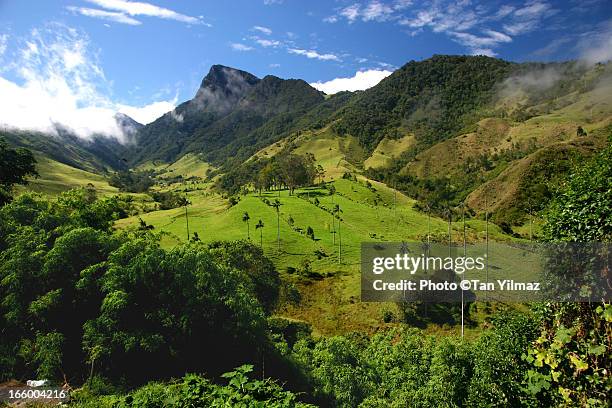 valley of cocora - colombia land imagens e fotografias de stock