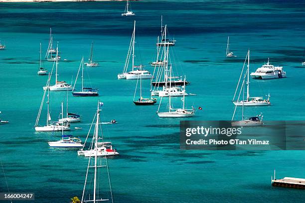 caribbean yachts - guadeloupe stock pictures, royalty-free photos & images