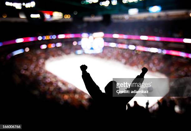 hockey excitement - hockey stock pictures, royalty-free photos & images
