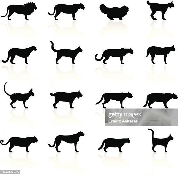 黒色記号-felines - undomesticated cat点のイラスト素材／クリップアート素材／マンガ素材／アイコン素材