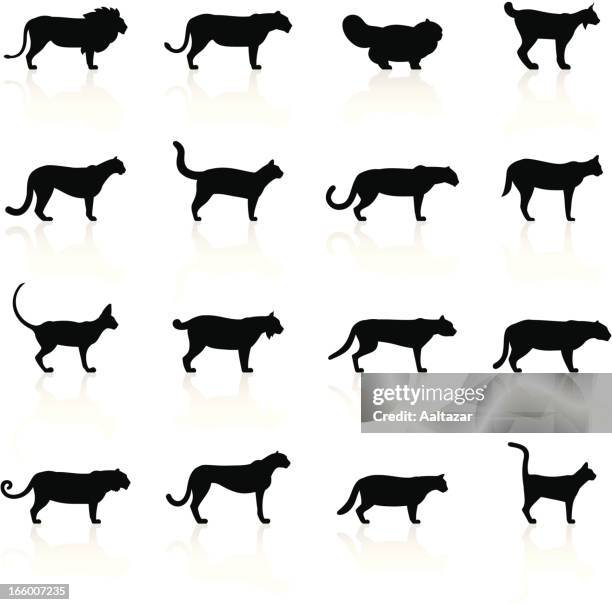 stockillustraties, clipart, cartoons en iconen met black symbols - felines - leeuwin