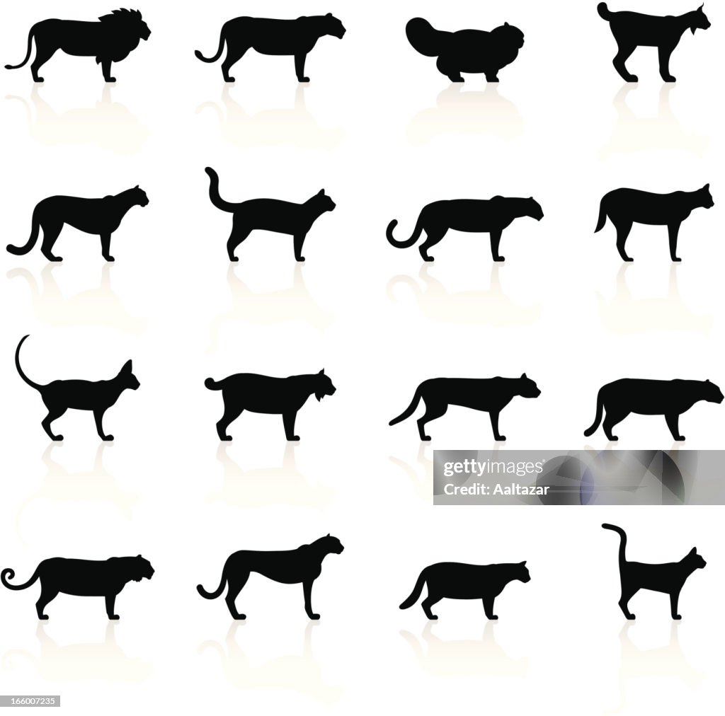 Black Symbols - Felines