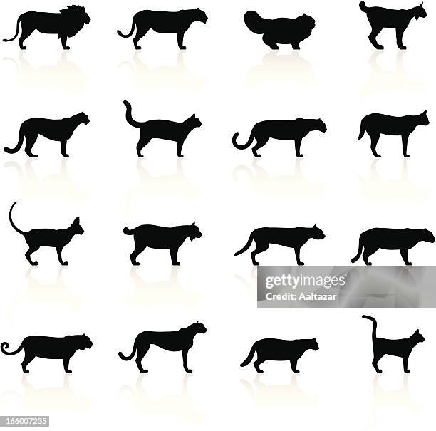 black symbols - felines - undomesticated cat stock illustrations