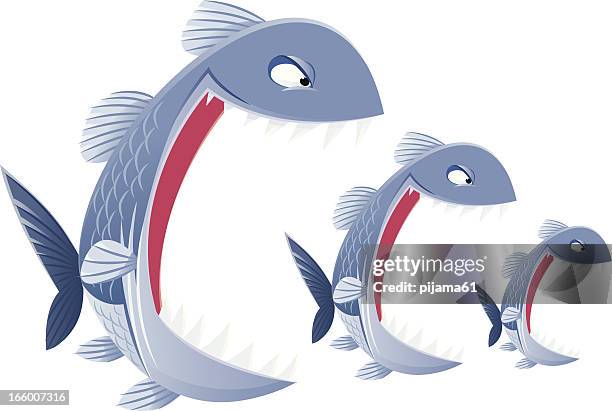 Fish Chasing Chasing Fish Photos and Premium High Res Pictures - Getty Images