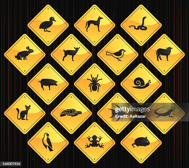 stockillustraties, clipart, cartoons en iconen met yellow road signs - pets - hamster