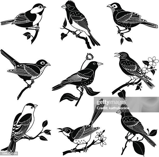 ilustraciones, imágenes clip art, dibujos animados e iconos de stock de north american pájaros - mockingbird