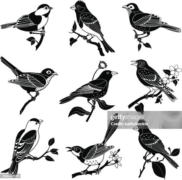 ilustrações de stock, clip art, desenhos animados e ícones de aves norte-americano - perch