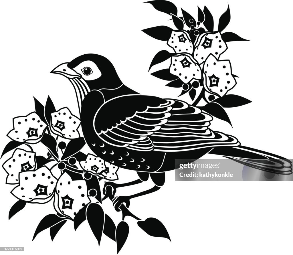 Robin and mountain laurel