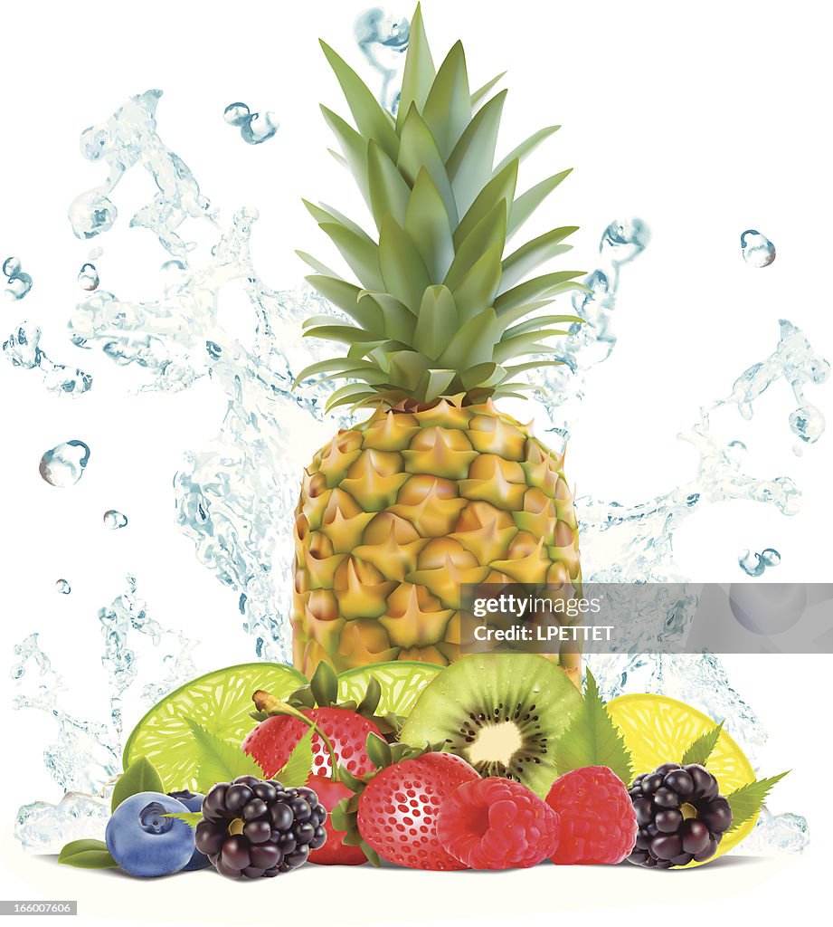 Fruit Splash - Vector Illustration
