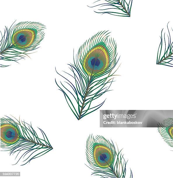 stockillustraties, clipart, cartoons en iconen met peacock background - pauwenveer