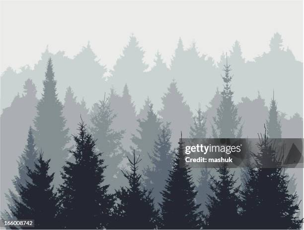 fir tree forest - tree bark stock illustrations