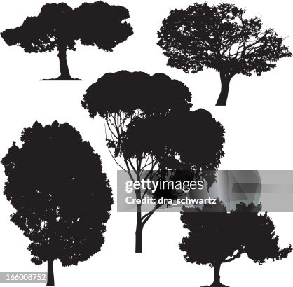 Trees, vector Trees, vector