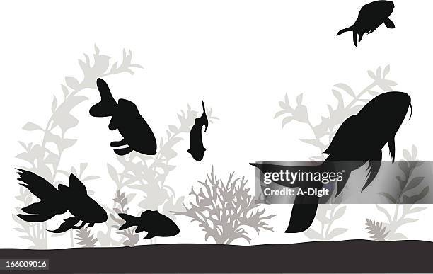 goldfish - black gold fish stock illustrations