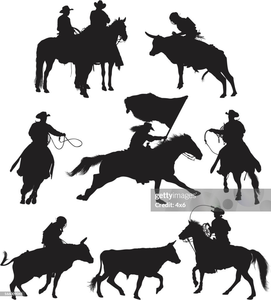 Multiple images of rodeo in action