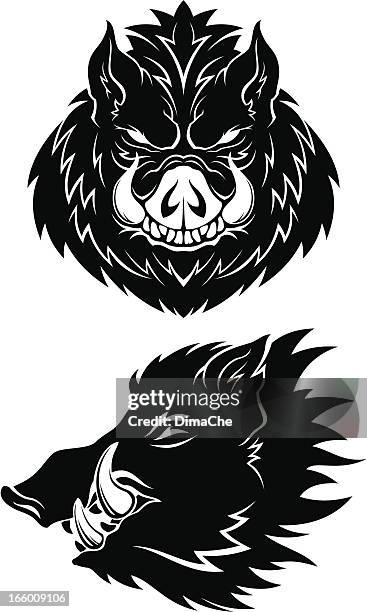 boar heads - boar tusk stock illustrations