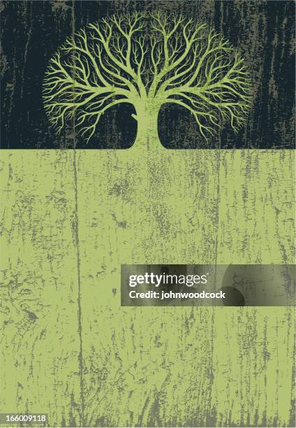 peeling paint real tree - exfoliating texture stock illustrations