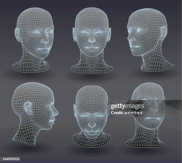 bildbanksillustrationer, clip art samt tecknat material och ikoner med set of three dimensional heads. - wireframe