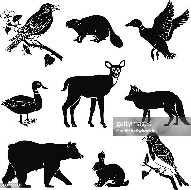 ilustraciones, imágenes clip art, dibujos animados e iconos de stock de woodland los animales - castor
