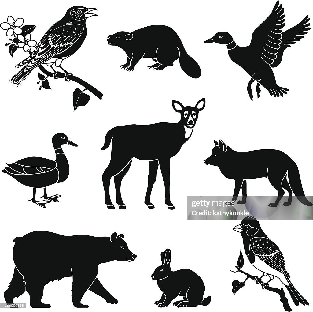 Woodland Animals High-Res Vector Graphic - Getty Images