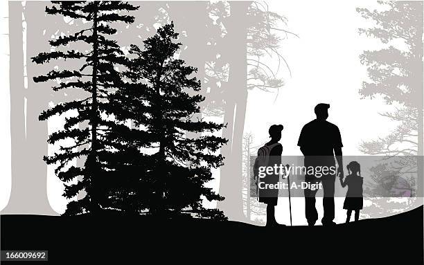 pine forest - family hiking stock illustrations