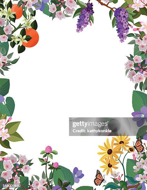 blume grenze frame - weißdorn stock-grafiken, -clipart, -cartoons und -symbole