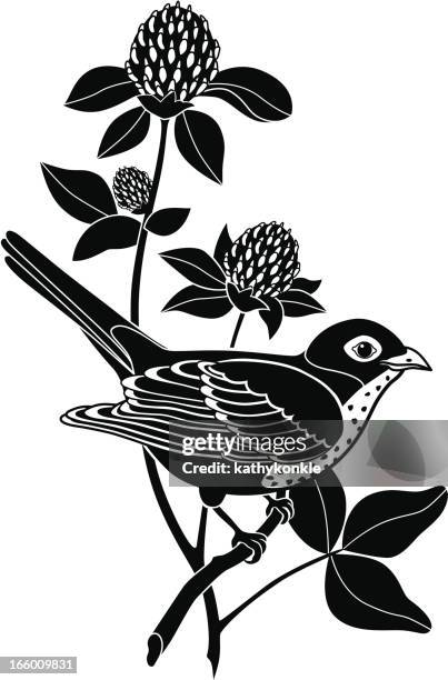 illustrations, cliparts, dessins animés et icônes de grive solitaire et trèfle rouge - fleur emblème