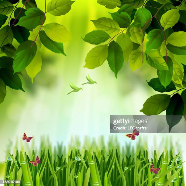 Beautiful Spring Background High-Res Vector Graphic - Getty Images