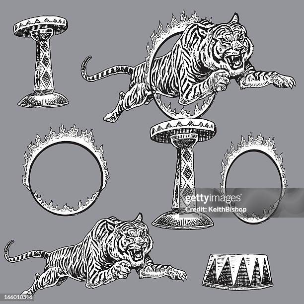 circus tiger and flaming ring of fire - burning ring of fire stock illustrations