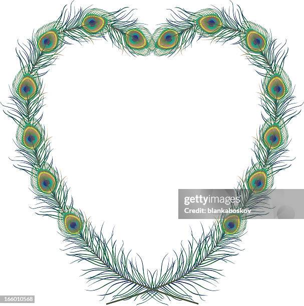 pfau feather herz - pfauenfeder stock-grafiken, -clipart, -cartoons und -symbole