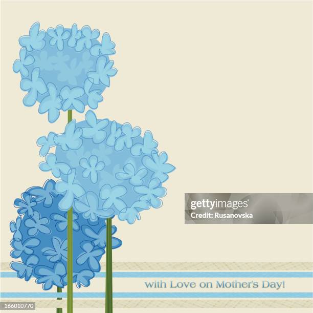 blue hydrangeas - blue hydrangea stock illustrations
