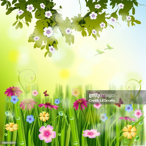 Beautiful Spring Background High-Res Vector Graphic - Getty Images