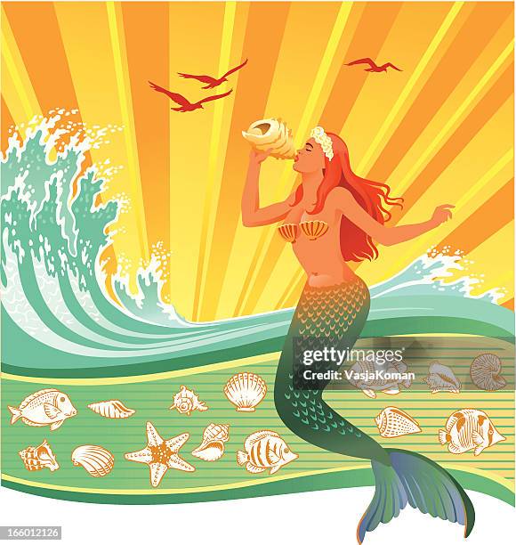 ilustraciones, imágenes clip art, dibujos animados e iconos de stock de sirena soplar en caracola - snail shell icon